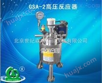 GSA-2高压反应器