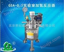 GSA-0.1实验室加氢反应器