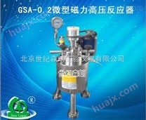 GSA-0.2微型磁力高压反应器