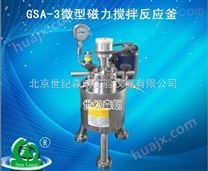 GSA-3微型磁力搅拌反应釜