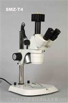 连续变倍体视（解剖）显微镜