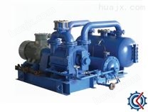 2BW系列水（液）环式真空泵及压缩机闭路循环系统