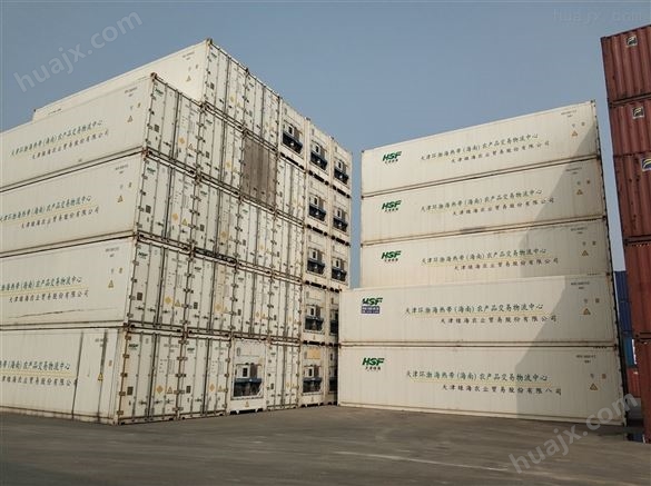 天津港出售冷藏集装箱  制冷至-18度