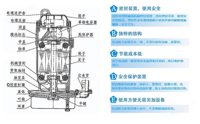 QDX潜水泵结构图