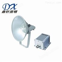 河南变电站NF341-250W/400W防震型投光灯