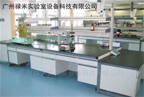 LUMI-SYT1306广州钢木实验台生产专家，实验室家具公司