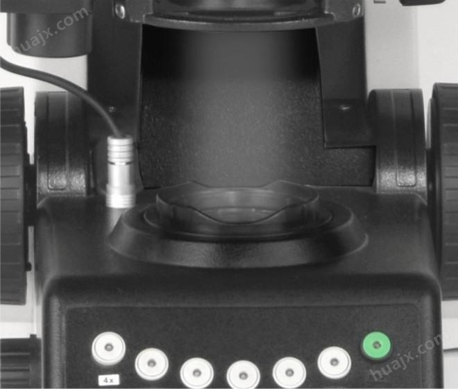 NE930电动正置显微镜(图9)