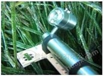植物叶绿素荧光成像系统