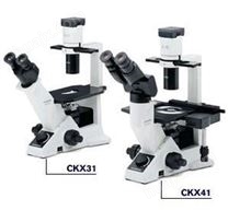 生物显微镜奥林巴斯 CKX31/CKX41 倒置显微镜 教学生物显微镜