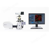 超高分辨率激光共聚焦显微镜LSM800 with Airyscan