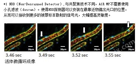 <strong>尼康双光子显微镜 A1R MP/A1R MP+双光子显微成像系统价格</strong>