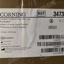 美国Corning 24孔微孔板 培养板