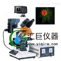 数码型荧光显微镜DFM-40D