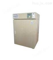 电热恒温培养箱-DNP-9162