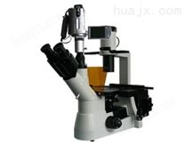 摄像倒置荧光显微镜-38XBV
