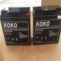 KOKO蓄电池（实业）有限公司